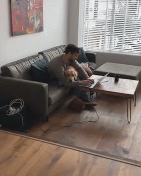 我養的不是狗,是隻502膠水 我養的不是狗,是隻502膠水