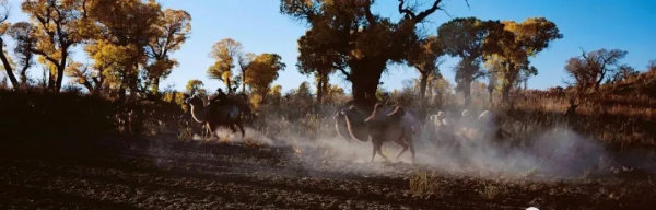 新疆是一幅畫,美得讓人沉醉 新疆是一幅畫,美得讓人沉醉