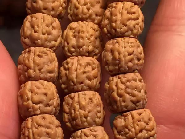 金剛菩提，老手和新手的區別到底在哪？