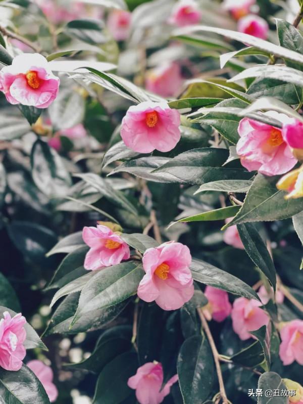 這一個月，我只記住了那6個小時