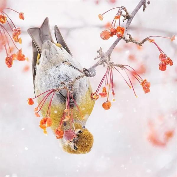 曾仕強：明哲保身是最高明的處世方式