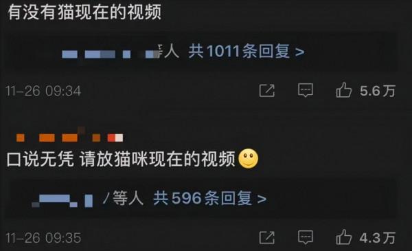 《當家主母》“喵咪事件”愈演愈烈,還有更殘忍的,都停止吧 《當家主母》“喵咪事件”愈演愈烈,還有更殘忍的,都停止吧