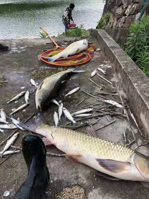 新手都可以釣到大魚,是新手光環?不是,學會調整你也可以上大魚 新手都可以釣到大魚,是新手光環?不是,學會調整你也可以上大魚