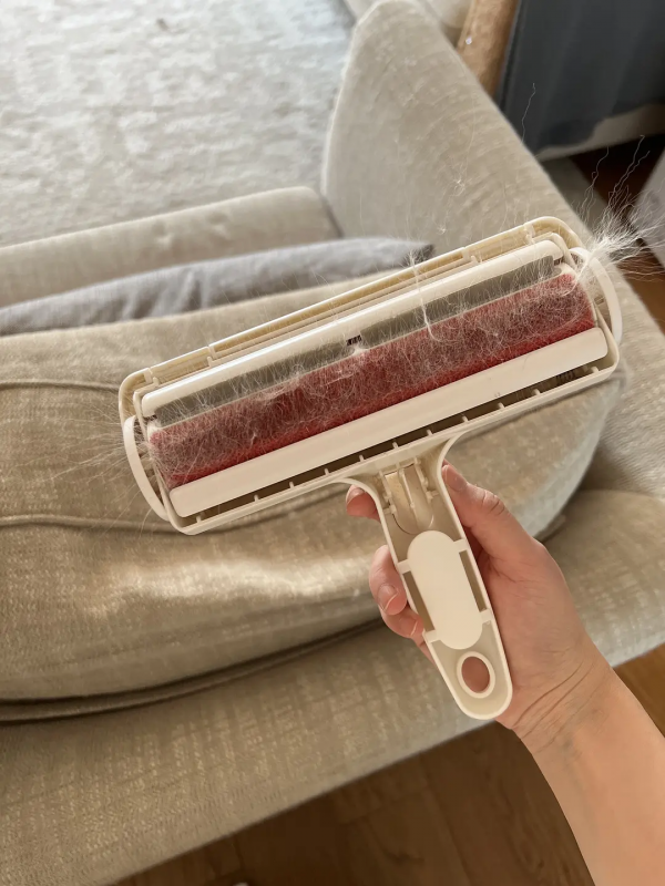 分享3貓2人住了五年滿當當的家 分享3貓2人住了五年滿當當的家