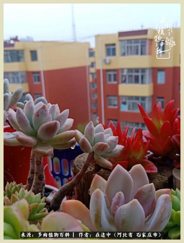 落葉知秋,願你安好 落葉知秋,願你安好