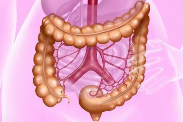 慢性結腸炎，保護腸道黏膜，減少慢性結腸炎反覆發作