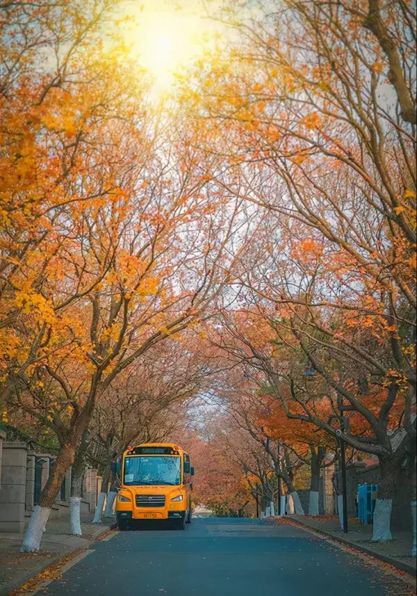 最適合老人養生的10個旅行地,2021不留遺憾,帶上父母出發吧 最適合老人養生的10個旅行地,2021不留遺憾,帶上父母出發吧