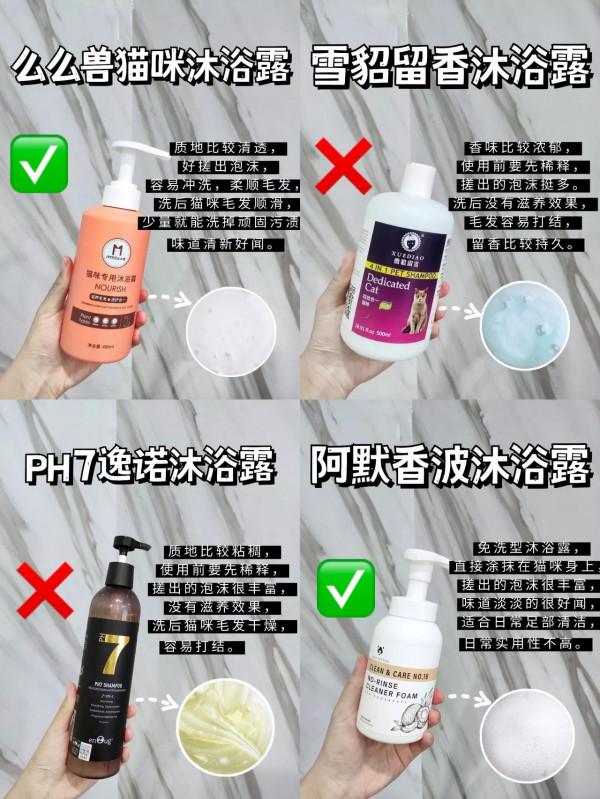 原地po出新手鏟屎官的紅黑榜清單