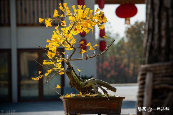 詩詞寫作方法:格律詩的押韻需要避開哪些誤區?詳細總結在這裡 詩詞寫作方法:格律詩的押韻需要避開哪些誤區?詳細總結在這裡