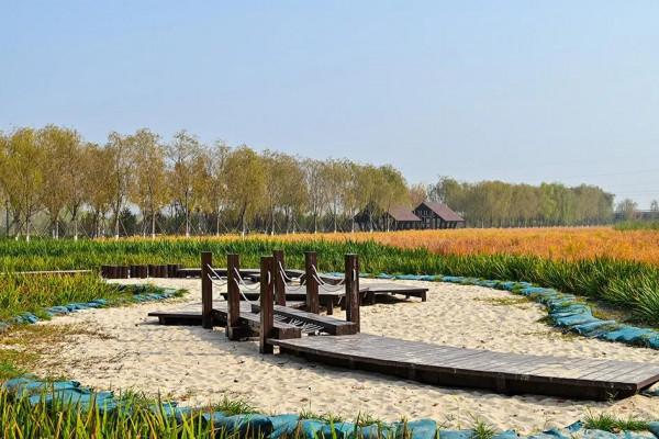 獨一無二！公園裡也能跑火車！京西這處免費的森林公園，值得玩