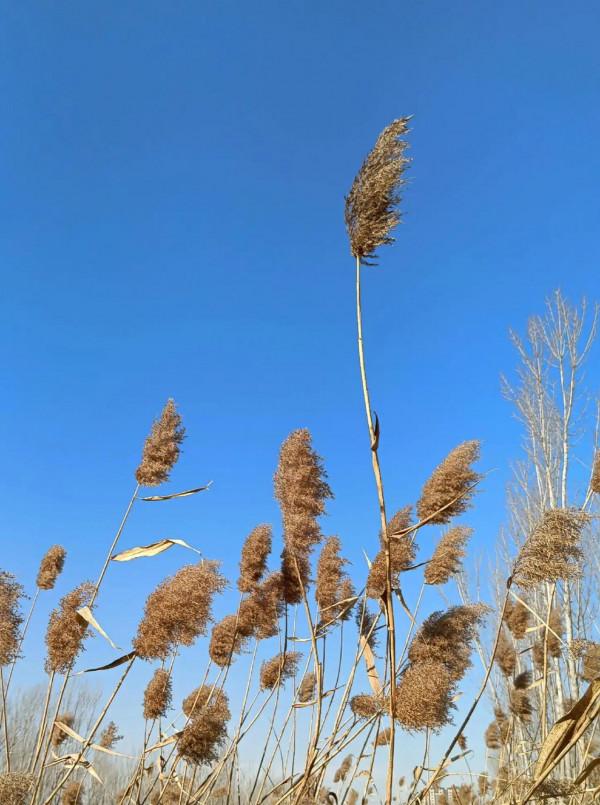 散文:《我的老妻》 散文:《我的老妻》