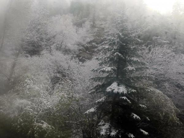 九寨溝的第一場雪 晶瑩剔透 恍若進入了童話世界