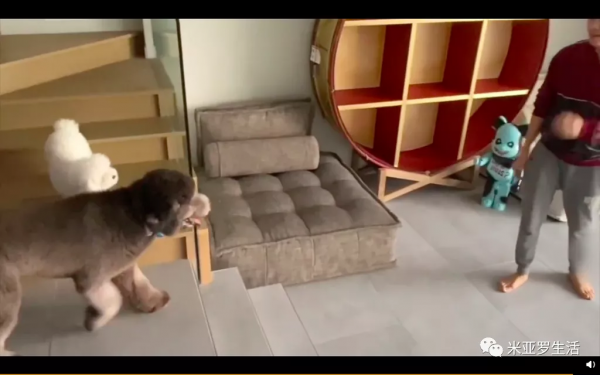 陳偉霆的北京豪宅,依山傍水、舒適治癒 陳偉霆的北京豪宅,依山傍水、舒適治癒