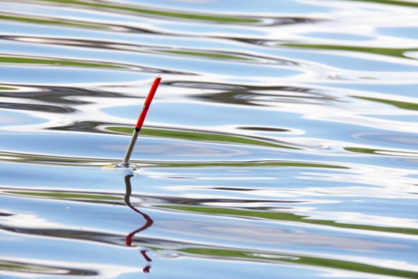 冬季野釣沒口怎麼辦？調整這幾個常見誤區，爆護大板鯽