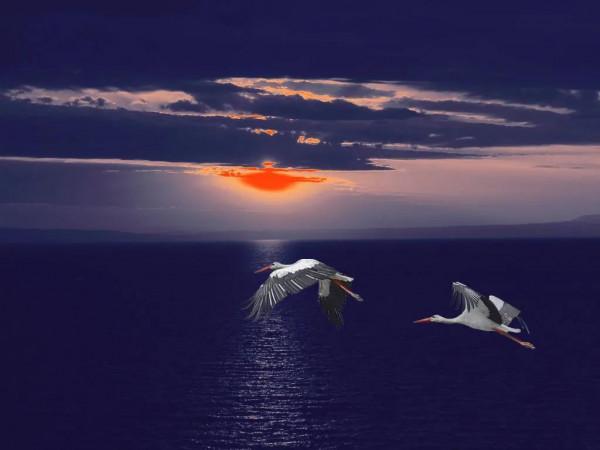 海洋的景色，真美