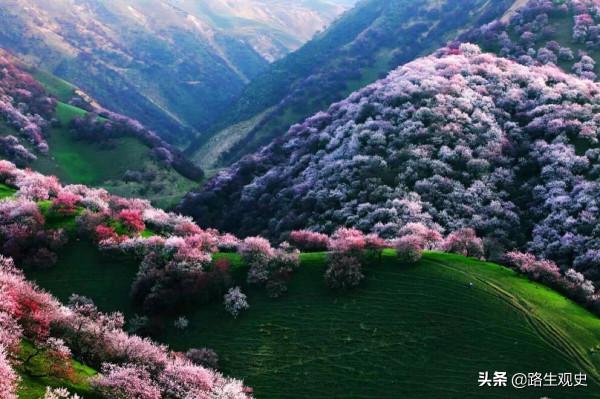 維吾爾族是怎樣從新疆南疆到達北疆的？如今，僅伊犁就有近80萬人