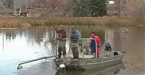 四條金魚引發的一座湖的生態慘案