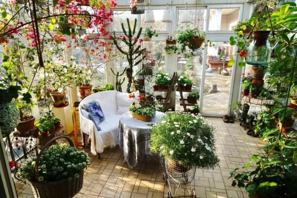 多少人嚮往的愜意生活也不過於此 多少人嚮往的愜意生活也不過於此