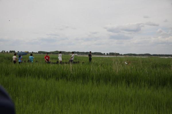 自駕十年(2013)——阿爾山踏青( 四) 自駕十年(2013)——阿爾山踏青( 四)