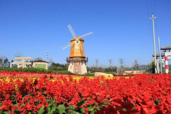 國慶“藏”到美麗鄉村（上）！廣東最新一批全國鄉村旅遊重點村鎮
