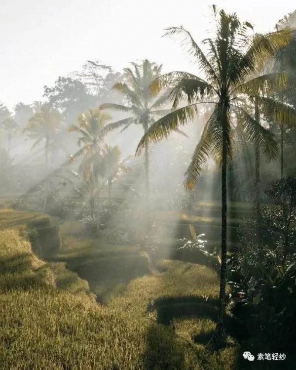 你好，2月18日｜願你一路驚喜，滿載而歸