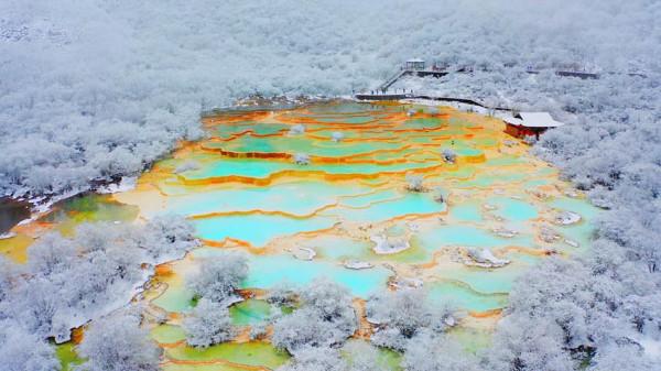 銀裝素裹 四川黃龍宛如油墨畫卷