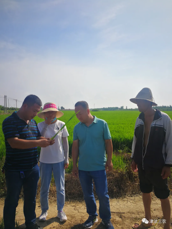 立足崗位踐初心,抗蟲保糧擔使命 立足崗位踐初心,抗蟲保糧擔使命