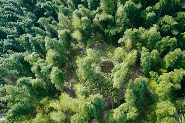 老外選出了最讓他們佩服的8箇中國房子