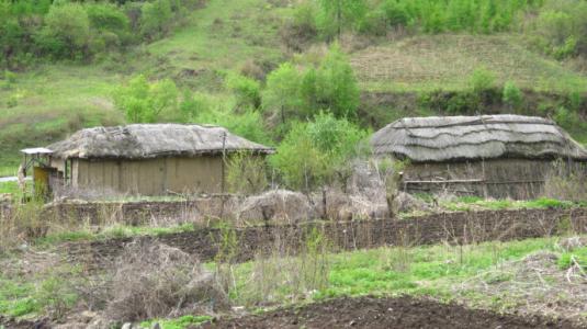 民間故事:乞丐救土狗 民間故事:乞丐救土狗