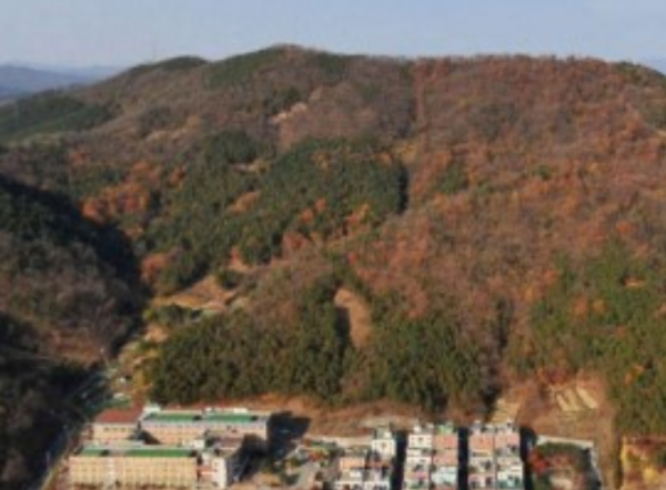 韓國“青蛙少年”失蹤懸案:30萬警力,4000萬賞金,至今沒能破 韓國“青蛙少年”失蹤懸案:30萬警力,4000萬賞金,至今沒能破