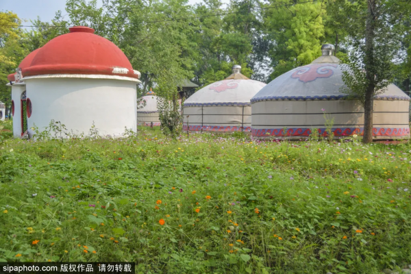 免門票！森林公園裡藏著個“小內蒙古”，還免費停車~
