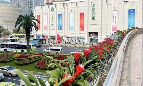 進博會開幕在即!綻放在道路、主題景點、花壇花境的限定美景來了→ 進博會開幕在即!綻放在道路、主題景點、花壇花境的限定美景來了→