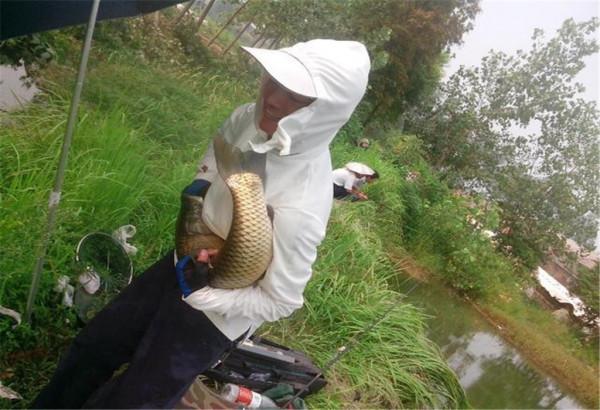 魚類來到地球5億年，為啥還會&OpenCurlyDoubleQuote;傻傻&rdquo;咬鉤？全怪釣魚人太聰明？