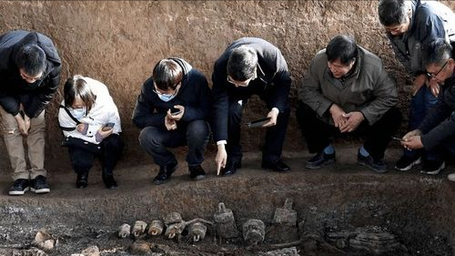 四川出土1700年前的古墓,墓中發現幾十只諸葛連弩,諸葛亮真聰明 四川出土1700年前的古墓,墓中發現幾十只諸葛連弩,諸葛亮真聰明