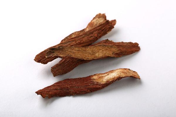 每天用三七粉、丹參粉或西洋參粉沖水喝，需要注意什麼？