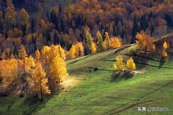 國內一生必打卡的20個地方，去過8個才算及格，你去過幾個呢？