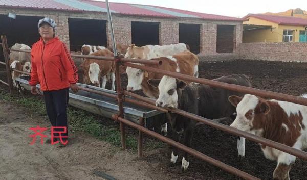 “鄉村振興，萬戶建立”——“農創杯”肉牛養殖科技示範戶已經產生啦！