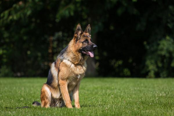 孩子不聽話？教你一招巨好用的方法&OpenCurlyDoubleQuote;騰挪&rdquo;，讓育兒變得簡單