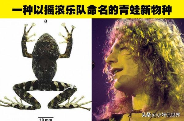 科學冷知識：已經成為現實的7項了不起的科學發現