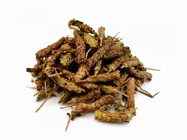 口苦肝堵，口甜脾黏，口酸胃翻：口中有異味是怎麼回事？