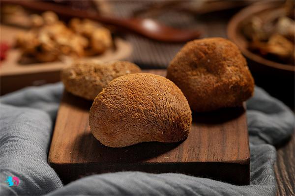 猴頭菇味道苦，是什麼原因？苦的猴頭菇還能吃嗎？快來看一看