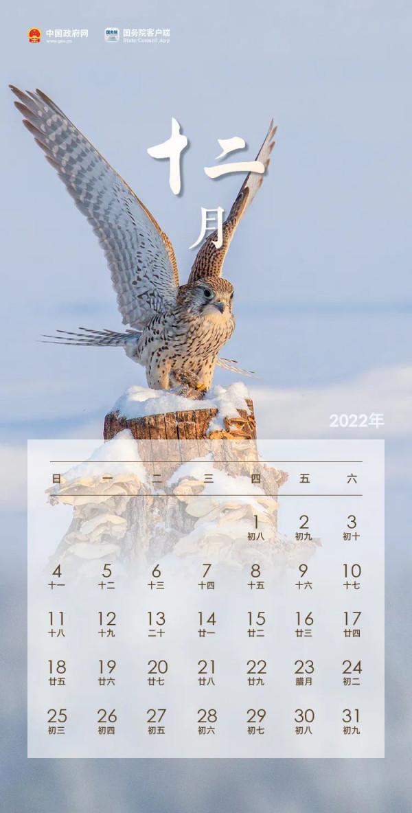 「收藏」它們想要承包你2022一整年的手機桌布