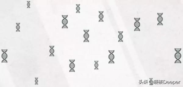 宇宙內無法重樣？當把人體放大、再放大後，細思極恐的問題出現了