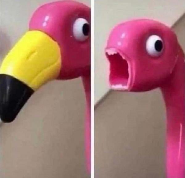 有些照片看似普通,卻讓人感到恐懼 有些照片看似普通,卻讓人感到恐懼