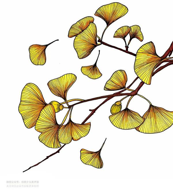 兒童畫教程|創意寫生美術課程《片片銀杏葉》 兒童畫教程|創意寫生美術課程《片片銀杏葉》