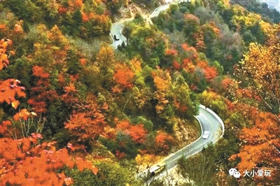 帶娃自駕京城神仙級秋色山林公路 帶娃自駕京城神仙級秋色山林公路