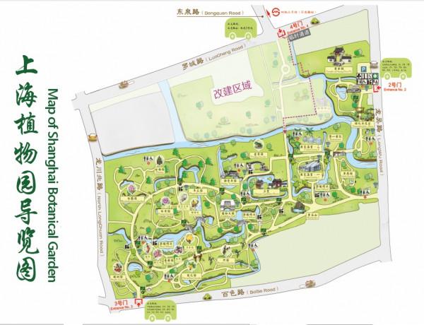 年宵花卉組合盆栽觀賞圖鑑～丨小葉子陪你過大年