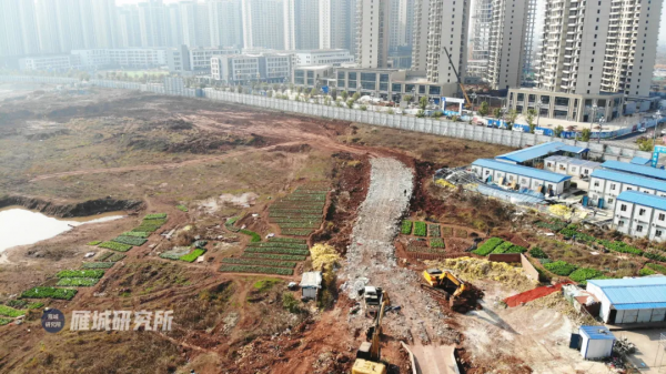 陸家新區又一大專案準備開工