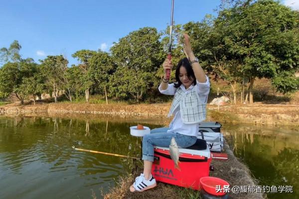 中秋在黑坑偷驢鯉魚，哪種味型最好用？中秋黑坑偷驢的幾個小竅門