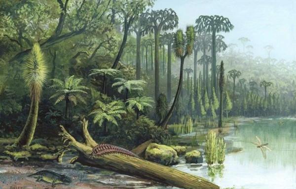 如果把所有沙漠都變成森林會怎樣？科學家：代價恐怕難以承受